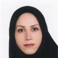 دکتر شب بو جسری
