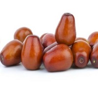 تصویر عناب (Jujube)