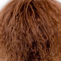 علل ایجاد خشکی مو و نحوه مراقبت از آن