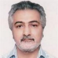 دکتر مجتبی پور لشکری